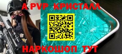 индика Дубна