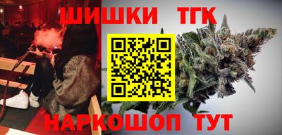 индика Дубна