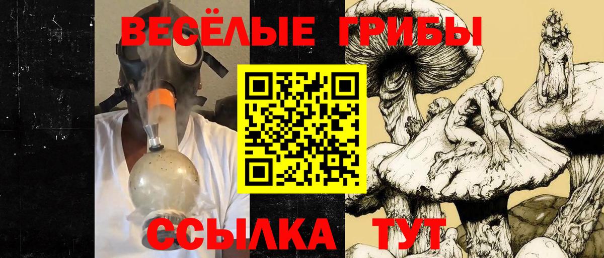Кировск  Галлюциногенные грибы прущие грибы  Галлюциногенные грибы MAGIC MUSHROOMS  Вход с VPN 