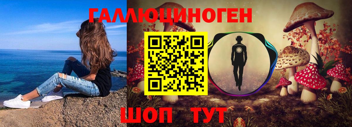Псилоцибиновые грибы Cubensis Кировск
